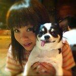 Kitty Yuen 🐶🙋🏻‍♀️🐶