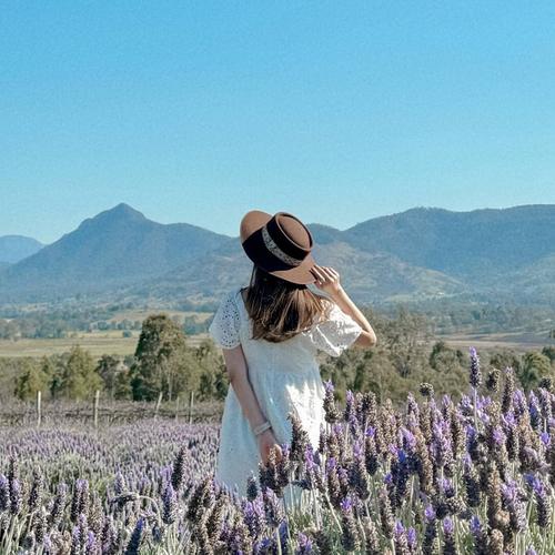 CC🕊on voyage *⋆ ̊. 